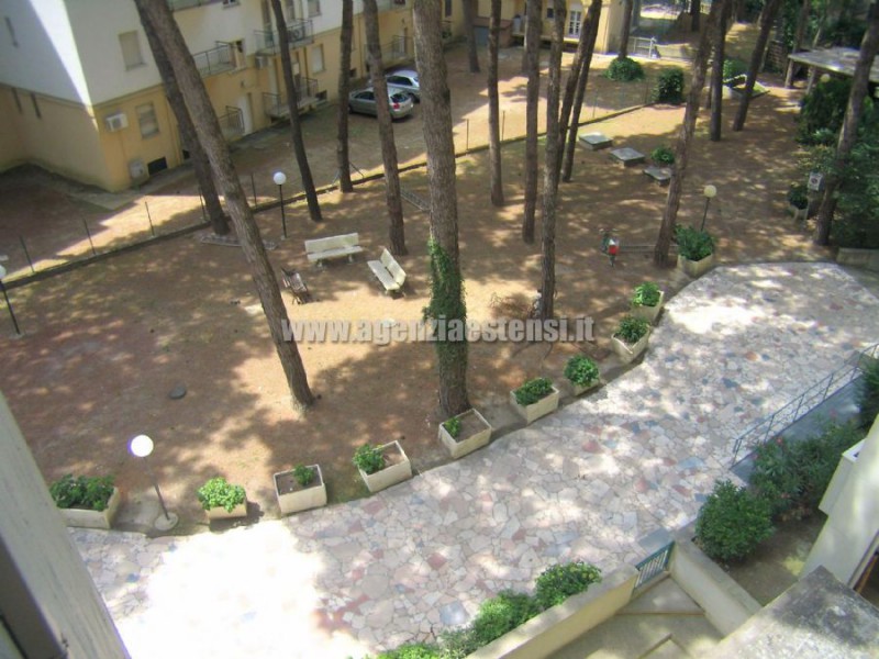 ampio giardino condominiale