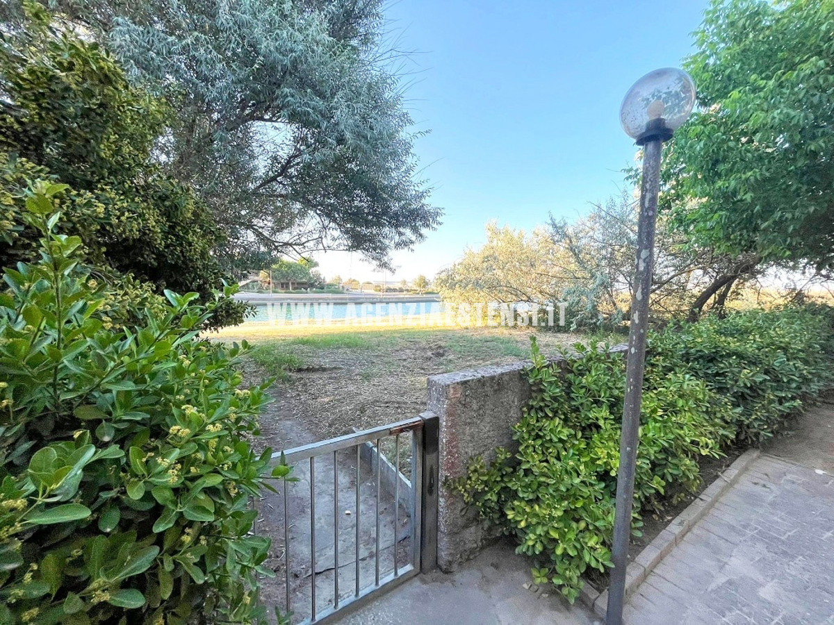 vista logonovo