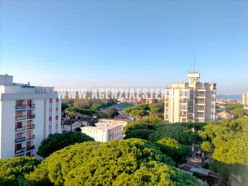 vista