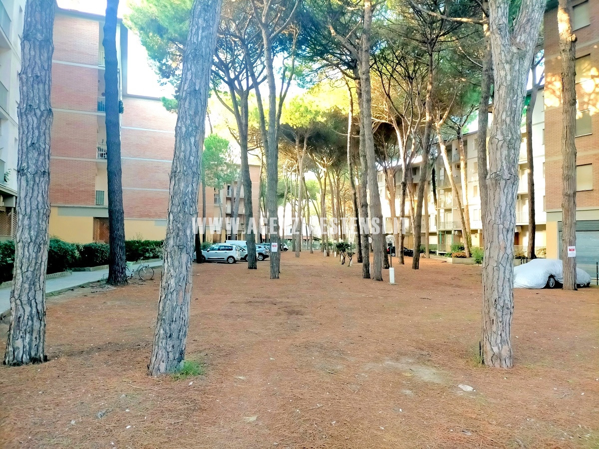 ampio parcheggio condominiale