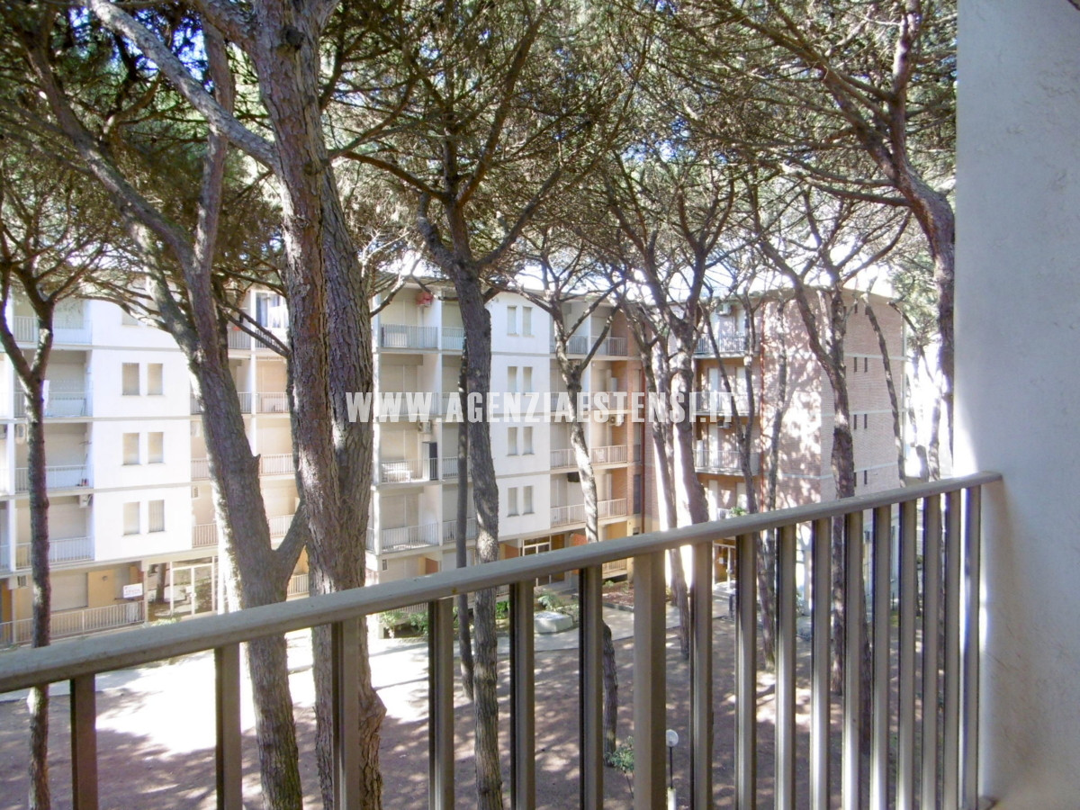 ampio giardino condominiale