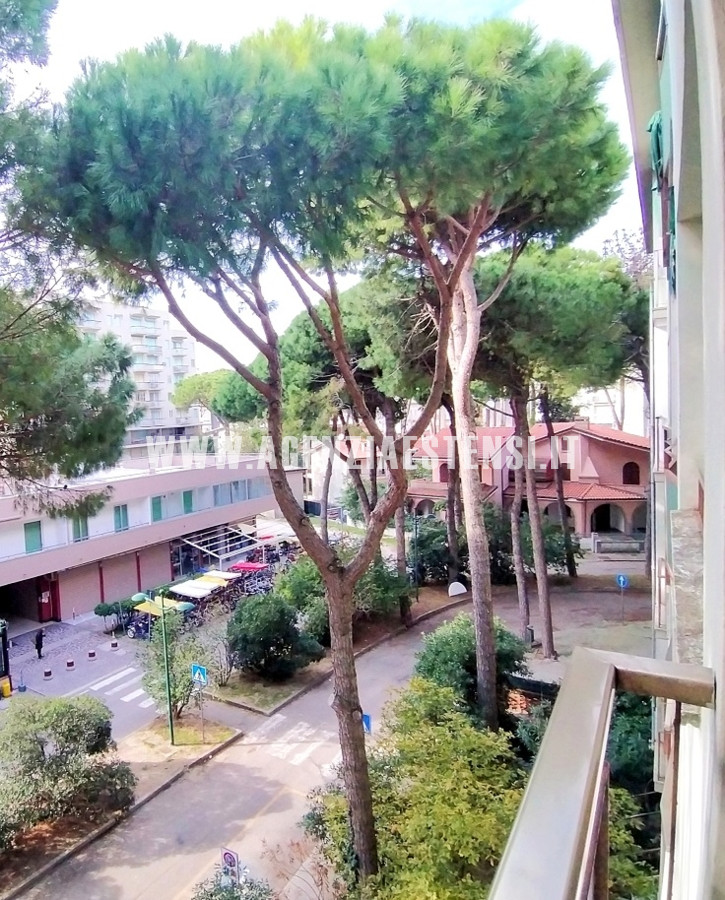 zona centrale