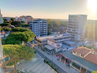 vista