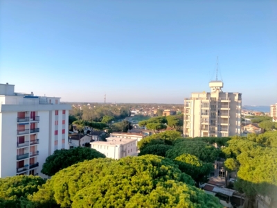 vista