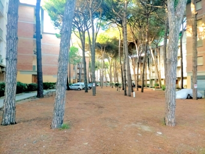 ampio parcheggio condominiale