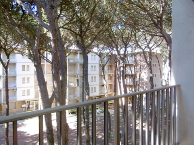 ampio giardino condominiale