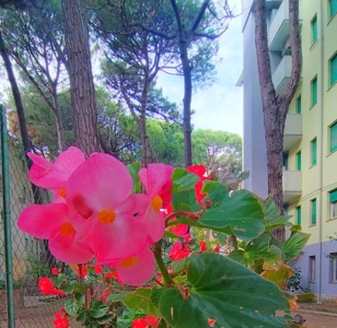 condominio europa